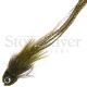 Joe's Striper Dragon - Olive