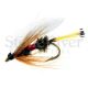 Royal Coachman Wet
