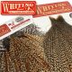 Whiting Farms CREE Dry Fly Feathers