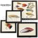 Riker Mount Fly Display Cases