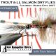 Fly Tying Class - Trout/Landlock Dry Flies 3/13/27
