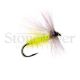 Apple Caddis Dry Fly