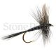 Black Gnat Dry Fly