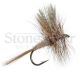 March Brown Dry Fly