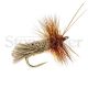 Goddard Caddis