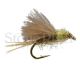 Transitional Dun - BWO/Beatis Emerger