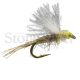 Transitional Dun - PMD/Sulphur Emerger