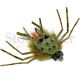 Big Kahuna Crab - Olive