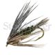 Carey Special - Peacock