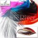 Burnt Goose Flank Spey Hackle