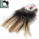 Hareline Coq-de-Leon Feather Pack (12pk)