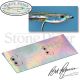 Fleye Foils - Bay Anchovy