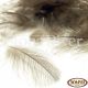 Wapsi Cul-De-Canard Feathers - 100pk (CDC)