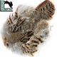 Hareline Select Hungarian Partridge Skins