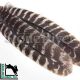 Hareline Oak Mottled Turkey Wing Quills (Natural)