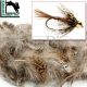 Hareline Premium Partridge Feathers (Loose)