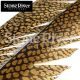 Golden Pheasant Center Tail Feathers (Single)