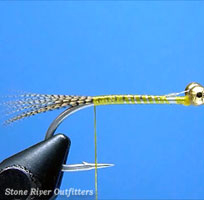 Step 3 - Tying the Amber Shrimp