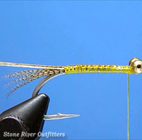 Step 4 - Tying the Amber Shrimp